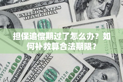 北京担保追偿期过了怎么办？如何补救算合法期限？