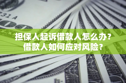 北京担保人起诉借款人怎么办？借款人如何应对风险？