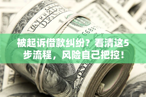北京被起诉借款纠纷？看清这5步流程，风险自己把控！
